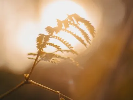 Anxiety Reduction - Being Mindful Of Your Emotions