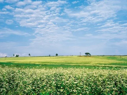 Anxiety Reduction - Binaural Beats & Calming Music