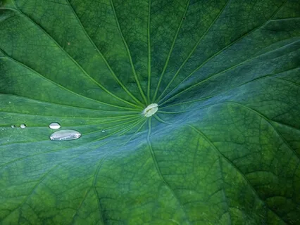 Anxiety Reduction - Body & Mind Restoration