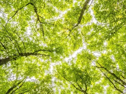 Anxiety Reduction: Brainwave Frequencies