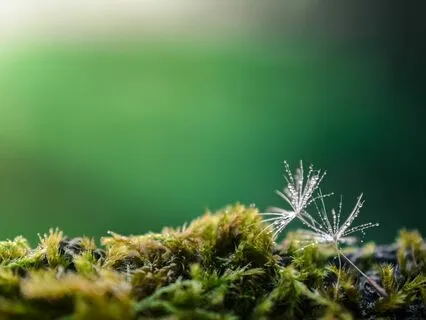 Anxiety Reduction - Breaking Chains Of Fear