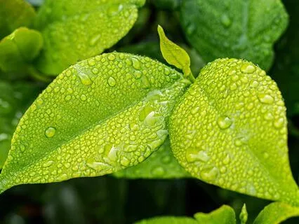 Anxiety Reduction - Breaking Free From Anxiety