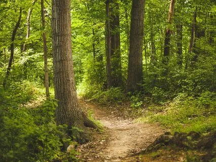 Anxiety Reduction - Breaking The Worry Cycle