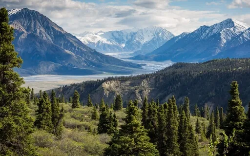 Anxiety Reduction - Calm Down Quickly