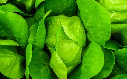 Anxiety Reduction - Calm Healing Music