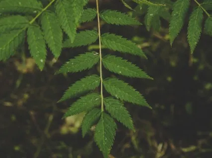 Anxiety Reduction - Calm Healing Music