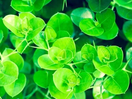 Anxiety Reduction - Calm Music For Stress Relief