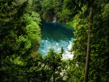 Anxiety Reduction: Calm Your Amygdala