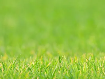 Anxiety Reduction - Calm Your Anxiety