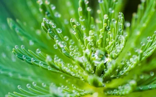 Anxiety Reduction - Calm Your Anxiety