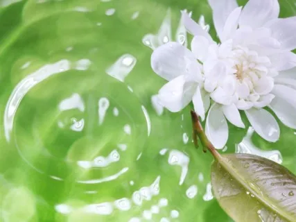 Anxiety Reduction - Calm Your Anxiety