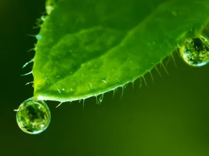 Anxiety Reduction - Calming Music For Meditation