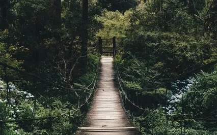 Anxiety Reduction - Calming Piano Music