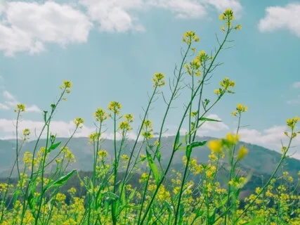 Anxiety Reduction - Calming Sleep Music To Reduce Anxiety