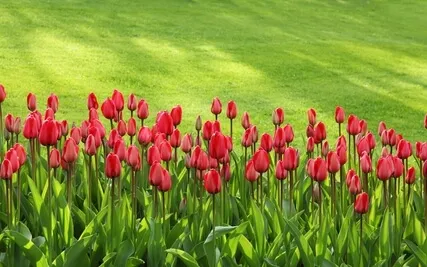 Anxiety Reduction - Calming the Emotional Storm