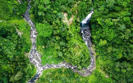 Anxiety Reduction - Calming The Over-Active Mind