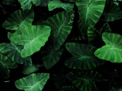 Anxiety Reduction - Cleanse Negative Influences