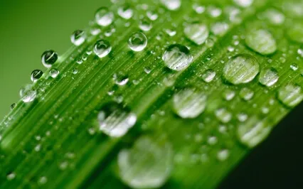 Anxiety Reduction - Cleansing Destructive Energy