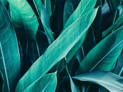 Anxiety Reduction - Clearing Subconscious Negativity