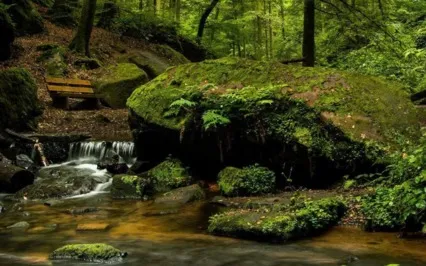 Anxiety Reduction - Concentrate On Positivity