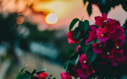 Anxiety Reduction - Connect With Yourself