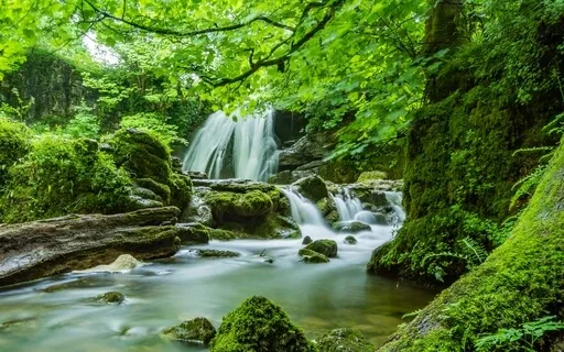 Anxiety Reduction - Creative Healing