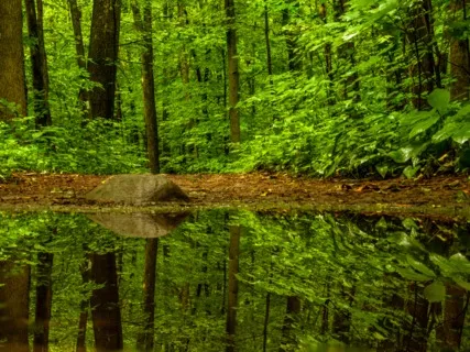 Anxiety Reduction - Cure Anxiety