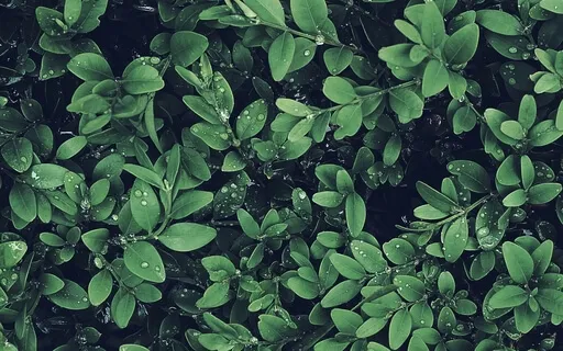 Anxiety Reduction - Decrease Anxiety