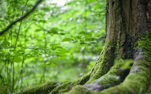 Anxiety Reduction - Deep & Relaxing Music