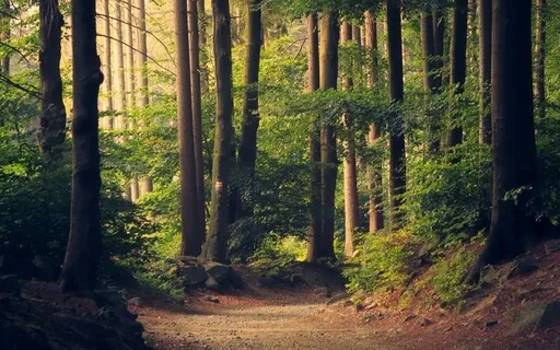 Anxiety Reduction - Deep Relaxing Music