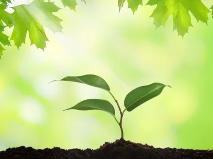 Anxiety Reduction - Deeply Calming Music