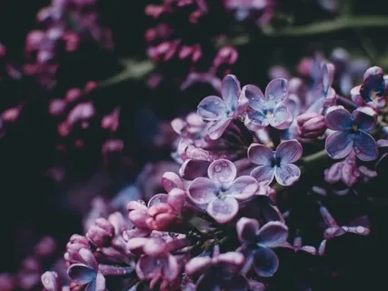 Anxiety Reduction - Deeply Relaxing Sounds