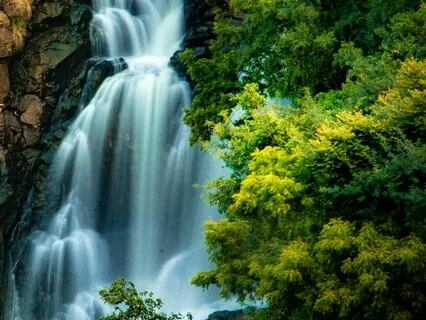 Anxiety Reduction - Detox From Negative Emotions