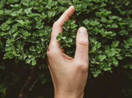 Anxiety Reduction - Detox Negative Emotions