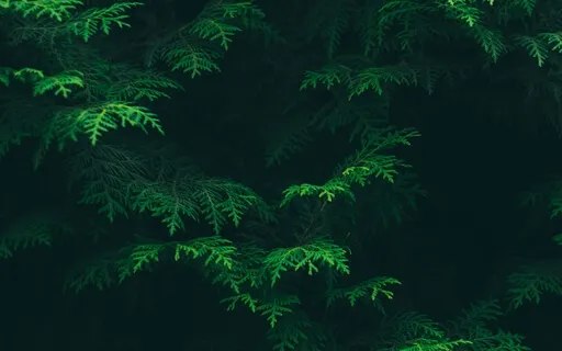 Anxiety Reduction - Detox Negative Emotions