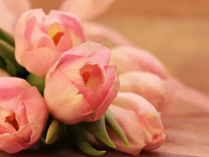 Anxiety Reduction - Dreams Of Tranquility