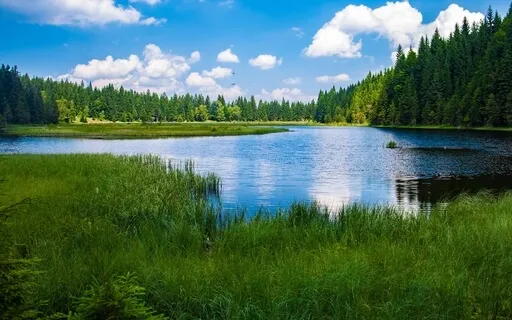 Anxiety Reduction - Eliminate Stress And Anxiety