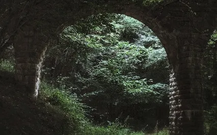 Anxiety Reduction - Emotional And Physical Healing