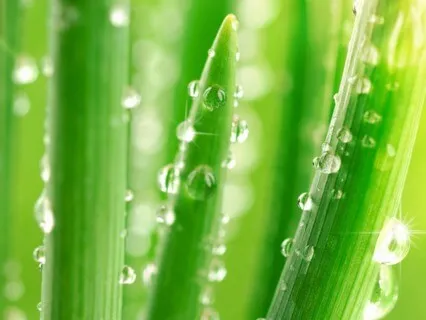 Anxiety Reduction - Enchanting Music For Positive Energy