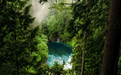  Anxiety Reduction - Engaging On Your Senses