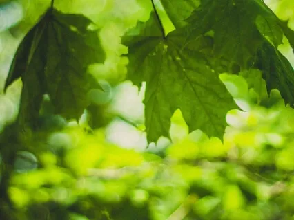 Anxiety Reduction - Escape From Depressive State