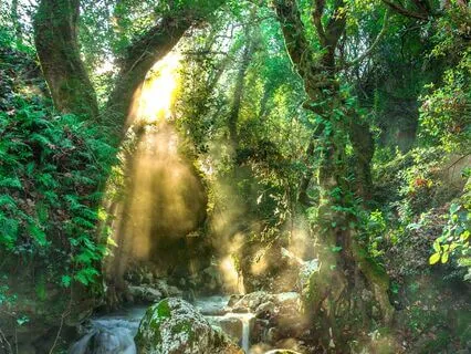 Anxiety Reduction - Fear Dissolves Away