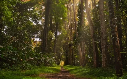 Anxiety Reduction - Finding Retreat