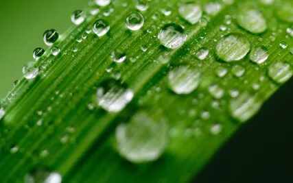 Anxiety Reduction - Finding Stillness