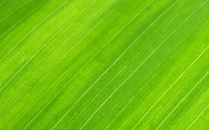 Anxiety Reduction - Findng Inner Peace