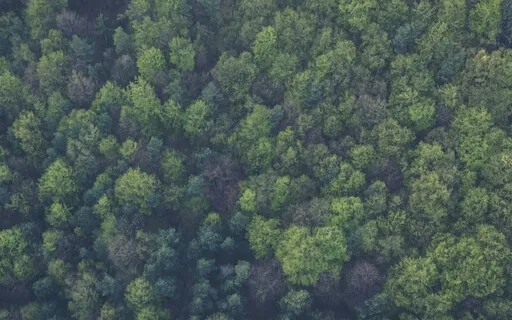 Anxiety Reduction - Focus On Positivity