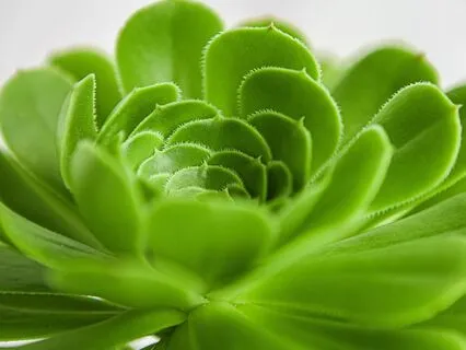 Anxiety Reduction - Forgetting Negative Thoughts