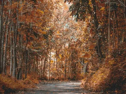 Anxiety Reduction - Free Your Thoughts