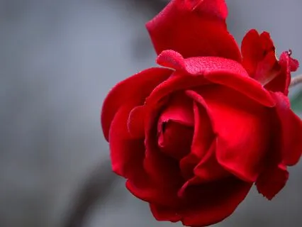 Anxiety Reduction - Gentle Enlightenment