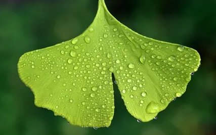 Anxiety Reduction - Gentle Meditation Music